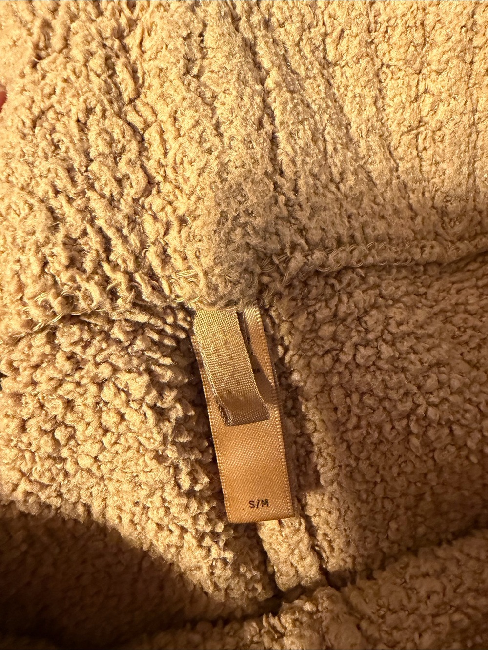 SKIMS teddy bear shorts